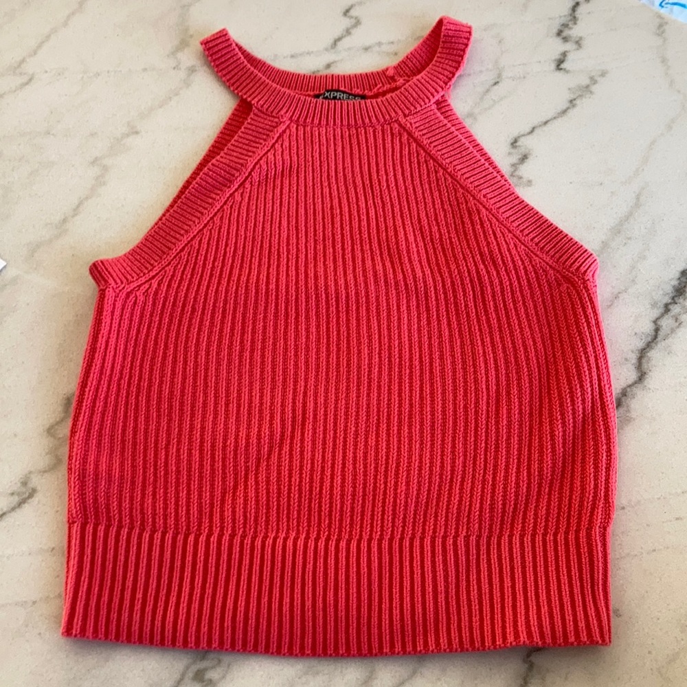 Express Salmon Sweater Crop Top